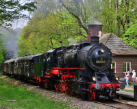 16. Dampfloktreffen 2024
