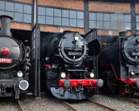 16. Dampfloktreffen 2024