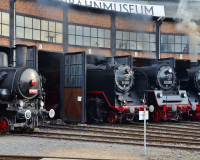 16. Dampfloktreffen 2024