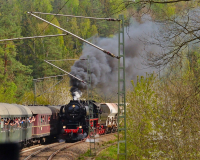 16. Dampfloktreffen 2024